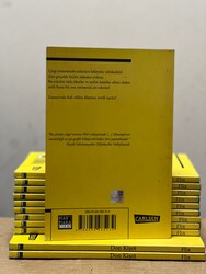 Don Kişot - 3